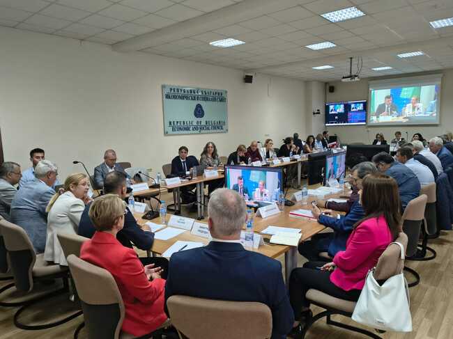 Economic and Social Council Warns of “Carbon Leakage” Risks to Bulgarian Jobs