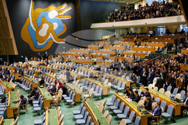 UN General Assembly
