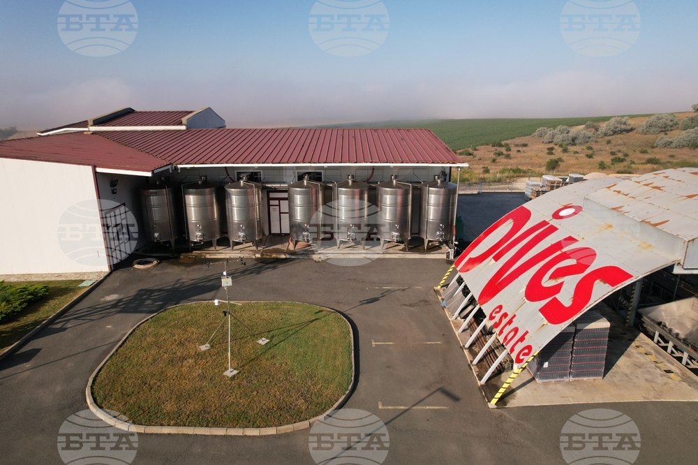 Винарска изба "ДиВес Естейт" се гордее със 100 медала и отличия, юбилейното признание е от Decanter World Wine Awards 2025