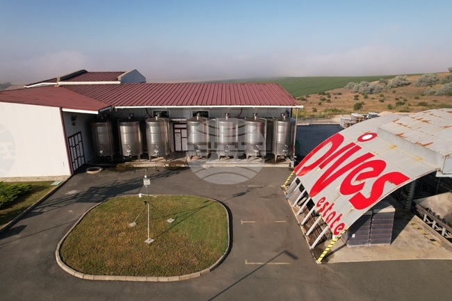 Винарска изба "ДиВес Естейт" се гордее със 100 медала и отличия, юбилейното признание е от Decanter World Wine Awards 2025