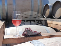 Бургас - Винарска изба "ДиВес Естейт"