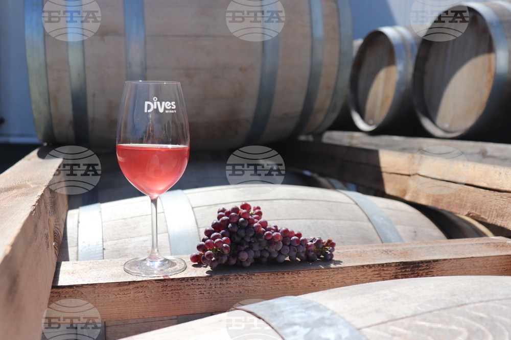 Бургас - Винарска изба "ДиВес Естейт"