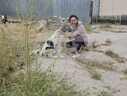 Снимка: Община Банско