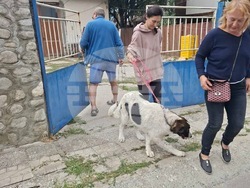 Снимка: Община Банско