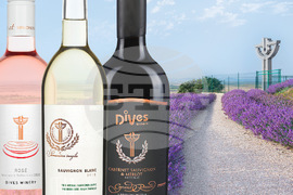 Бургас - Винарска изба "ДиВес Естейт"