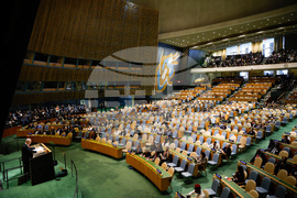 UN General Assembly