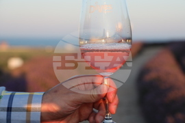 Бургас - Винарска изба "ДиВес Естейт"