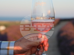 Бургас - Винарска изба "ДиВес Естейт"