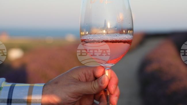 Glass Industry Leaders to Showcase Bottle Design Trends at Vinaria 2026