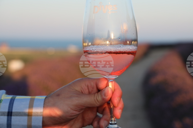 Glass Industry Leaders to Showcase Bottle Design Trends at Vinaria 2026