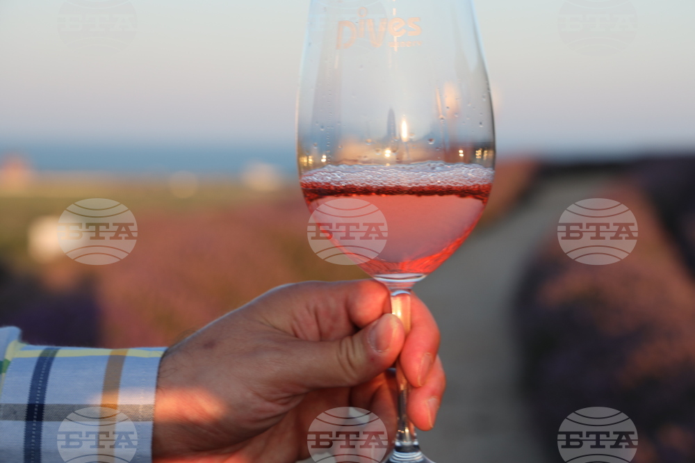 Бургас - Винарска изба "ДиВес Естейт"