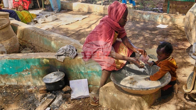 ОАЕ приветстват усилията на Тръмп за прекратяване на войната в Судан 
