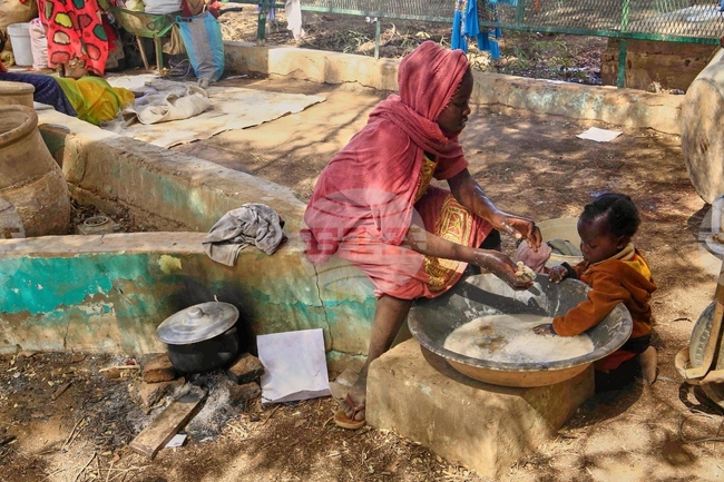 ОАЕ приветстват усилията на Тръмп за прекратяване на войната в Судан 