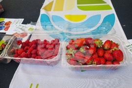 Велико Търново - изложение на сертифицирани български биопроизводители