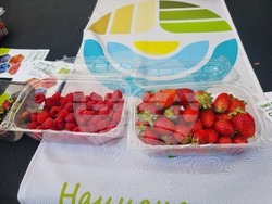 Велико Търново - изложение на сертифицирани български биопроизводители