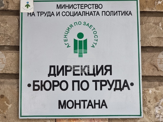 Инженери и лекари са най-търсените висококвалифицирани специалисти в Монтана