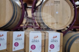 Село Меден кладенец - винарна „Вила Меден“