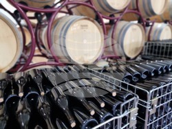 Село Меден кладенец - винарна „Вила Меден“