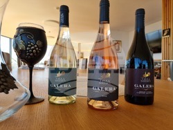 Село Меден кладенец - винарна „Вила Меден“