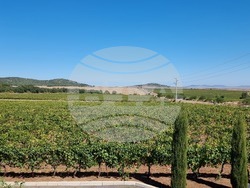 Село Меден кладенец - винарна „Вила Меден“