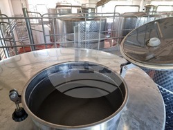 Село Меден кладенец - винарна „Вила Меден“