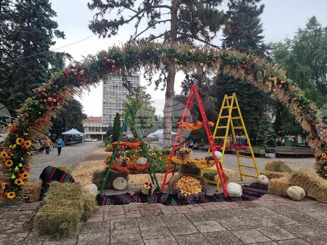 Откриват официално Празника на плодорието в Кюстендил 