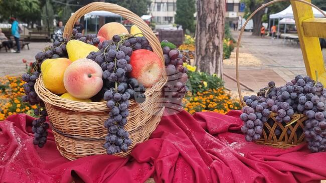  Кюстендил ще отбележи 130 години от първото овощарско изложение с Празника на плодородието