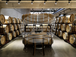 Село Брестник - Винарско имение "Драгомир"