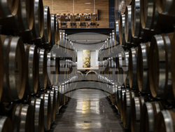 Село Брестник - Винарско имение "Драгомир"