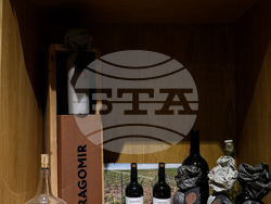 Село Брестник - Винарско имение "Драгомир"