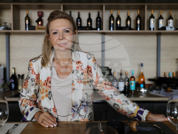 Село Брестник - Винарско имение "Драгомир"