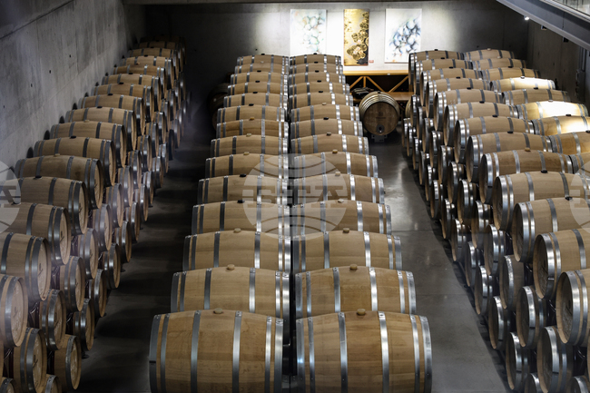 Деветата Глобална конференция за винен туризъм на Световната организация по туризъм на ООН ще бъде официално открита днес в Пловдив