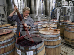 Първомай - Винарна „Загрей“ - Татяна Стефанова