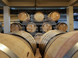 Първомай - Винарна „Загрей“