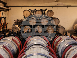 Първомай - Винарна „Загрей“