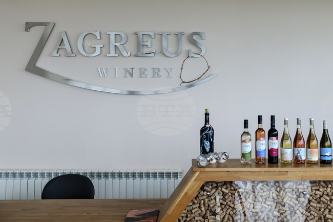 Винарна "Загрей" ще разшири асортимента си от бели сортове, като засади 85 декара Совиньон блан