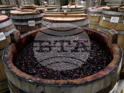 Първомай - Винарна „Загрей“