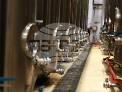 Село Нисово - Винарска изба „Райнов и синове"