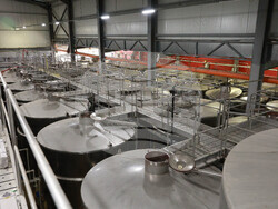 Село Нисово - Винарска изба „Райнов и синове"