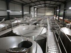 Село Нисово - Винарска изба „Райнов и синове"