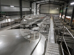 Село Нисово - Винарска изба „Райнов и синове"