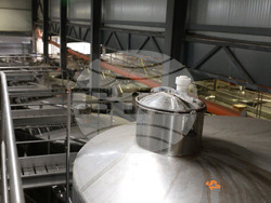 Село Нисово - Винарска изба „Райнов и синове"