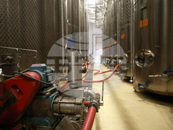 Село Нисово - Винарска изба „Райнов и синове"