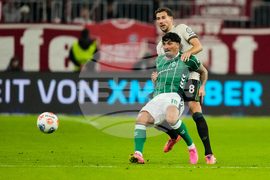 Germany Soccer Bundesliga