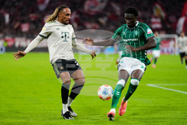 Germany Soccer Bundesliga