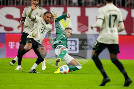 Germany Soccer Bundesliga