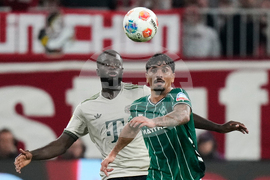 Germany Soccer Bundesliga