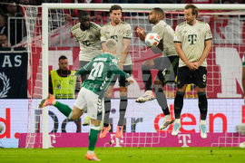 Germany Soccer Bundesliga