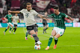 Germany Soccer Bundesliga