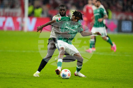 Germany Soccer Bundesliga